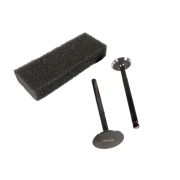 ΒΑΛΒΙΔΕΣ ΣΕΤ HONDA ASTREA SUPRA LIFAN LF110 UMA ΤΙΤΑΝ 100%